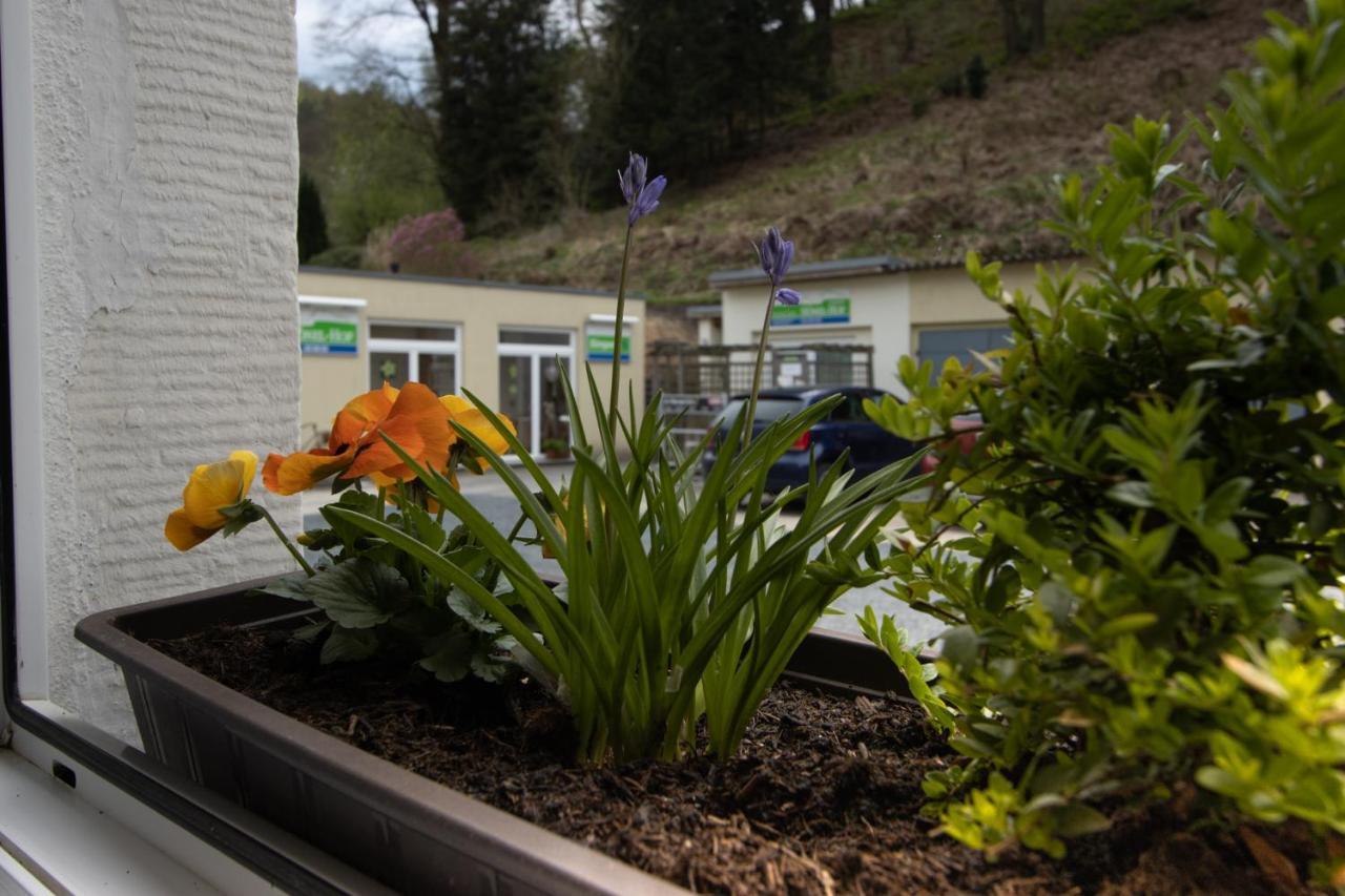 Pension Hoenel-Hof Bad Schandau Eksteriør bilde